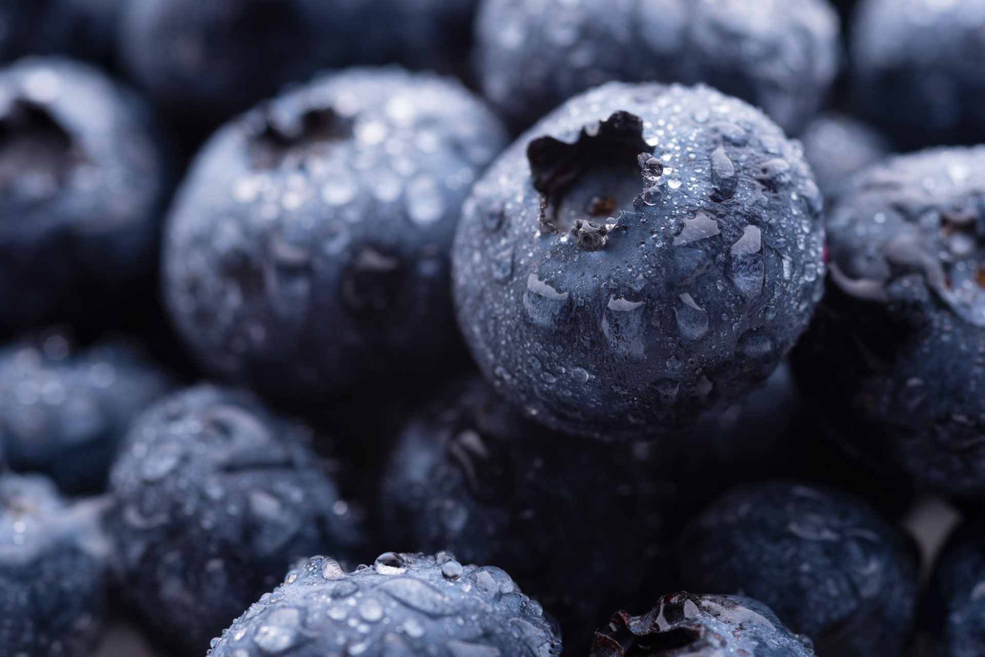 Close up image of fresh blueberries