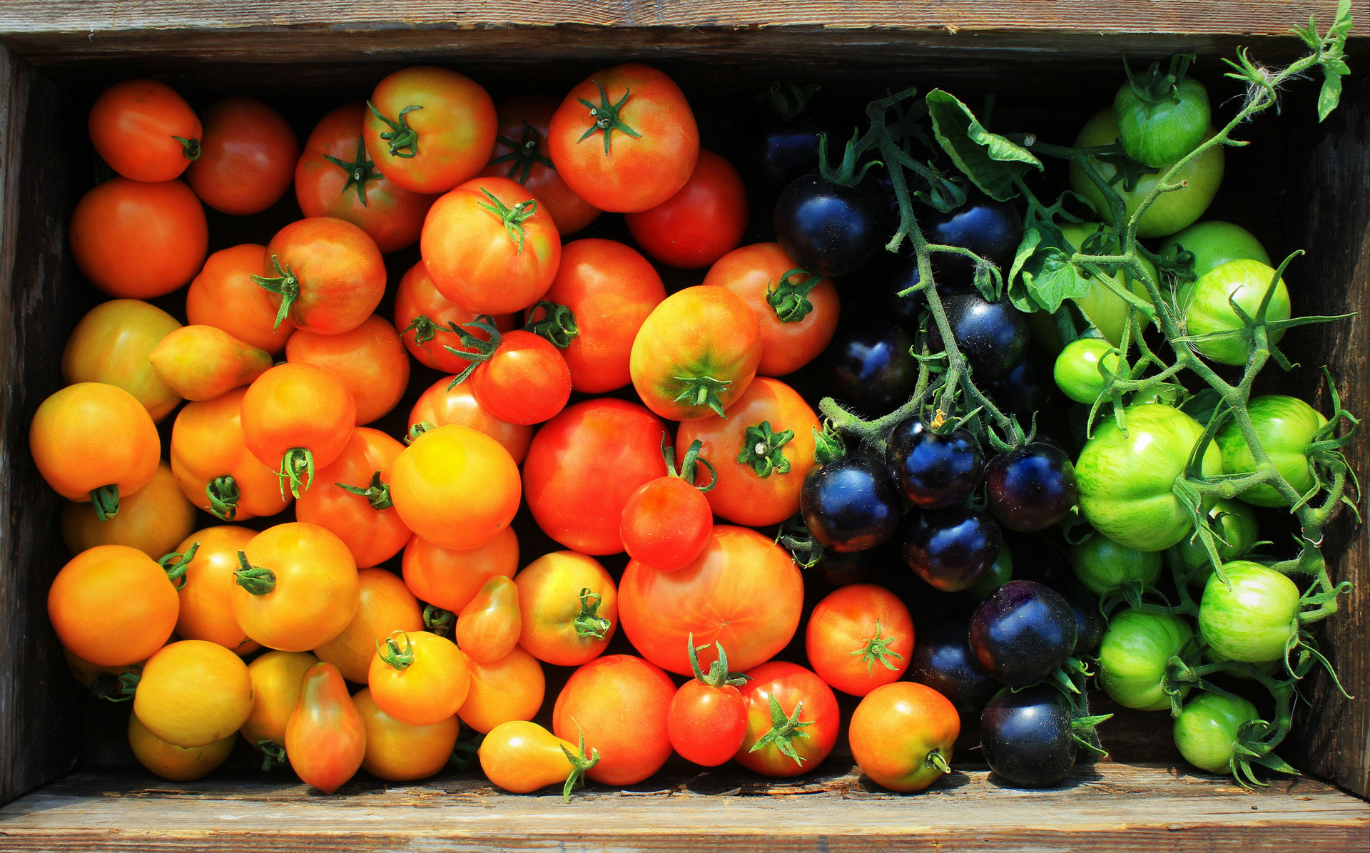 Photo of a box of fresh fruit from above
